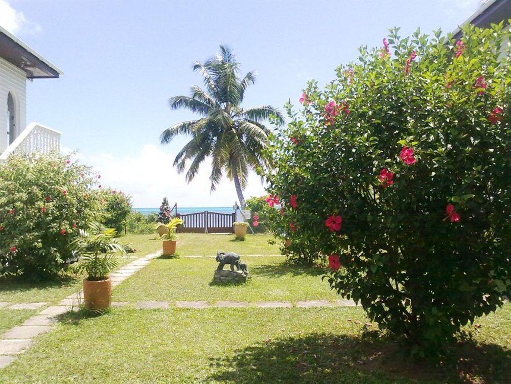 Le Tropique Villa (Adults Only) Grand Anse  Extérieur photo
