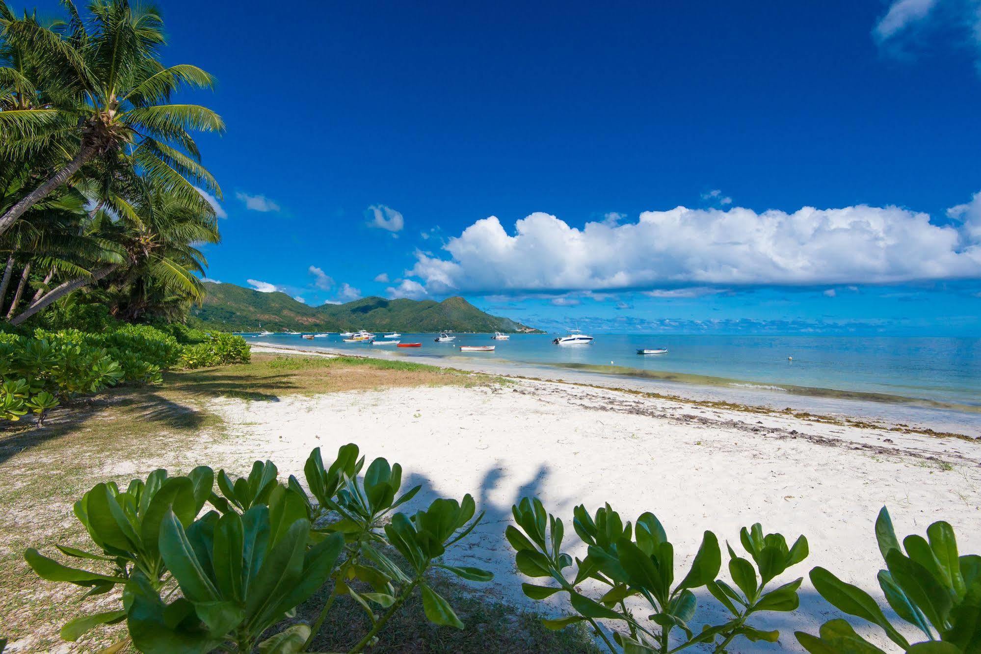 Le Tropique Villa (Adults Only) Grand Anse  Extérieur photo